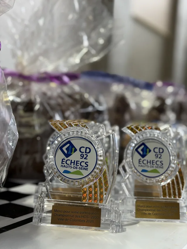 Trophées de participation portant le logo du comité.